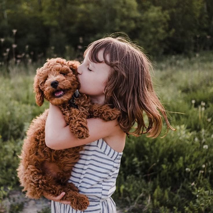 Haustieradoption