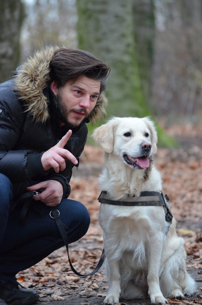 A man interacts with a Golden Retriever dog in a vibrant, autumn forest setting.
