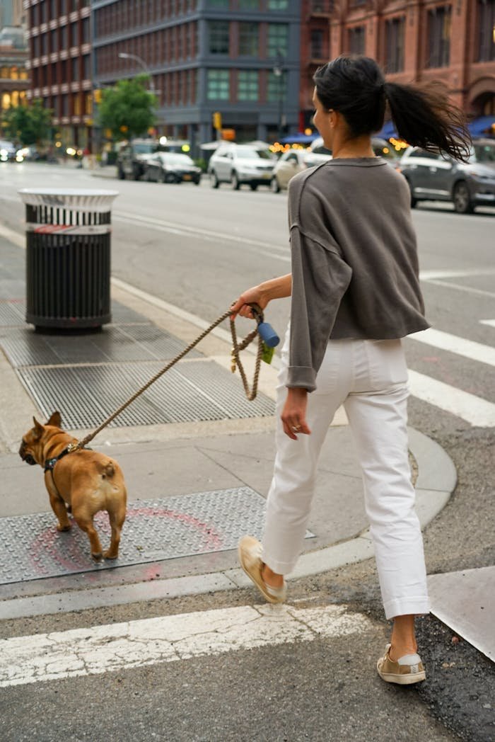 hero-img A woman walking her French bulldog on a city street, showcasing urban life and pet companionship.